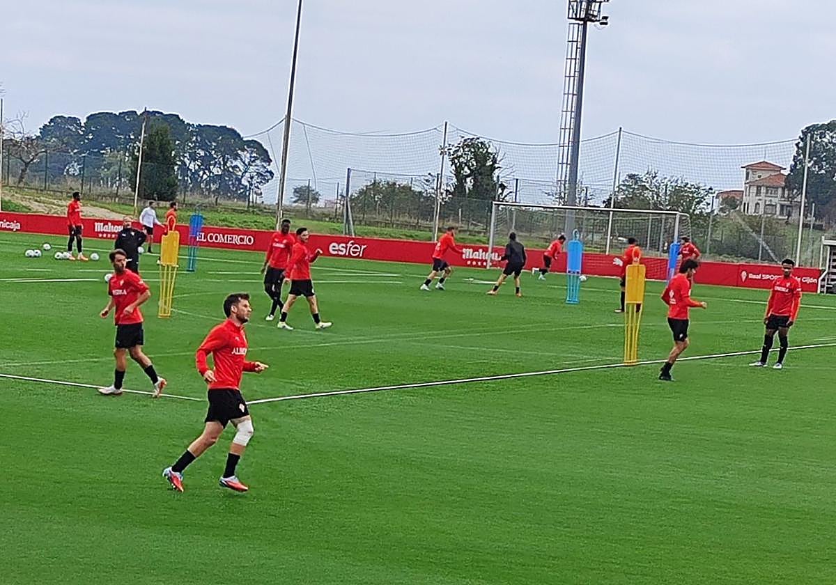 Guille Rosas comienza la preparación del Sporting entre algodones