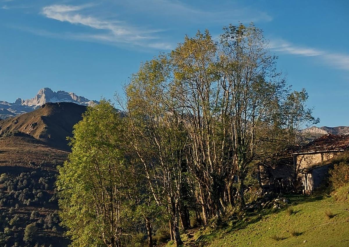 Imagen secundaria 1 - El pico Turbina, la sierra del Sueve, Santa María de Enol... las vistas de esta ruta abarcan grandes cumbres asturianas. 