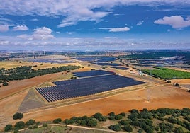 Liderazgo en el desarrollo global de la energía sostenible