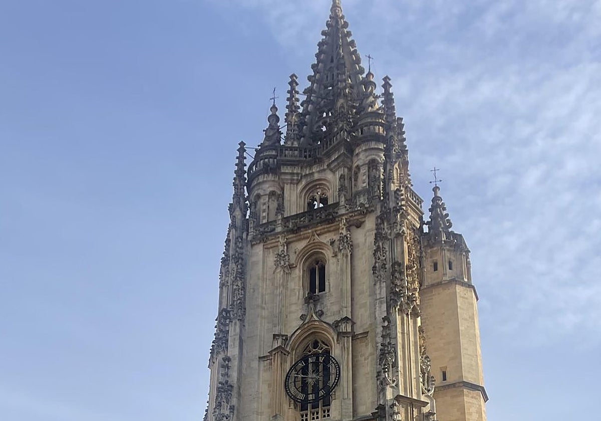 Las velutinas han instalado su colmena en la parte derecha de la torre de la Catedral.