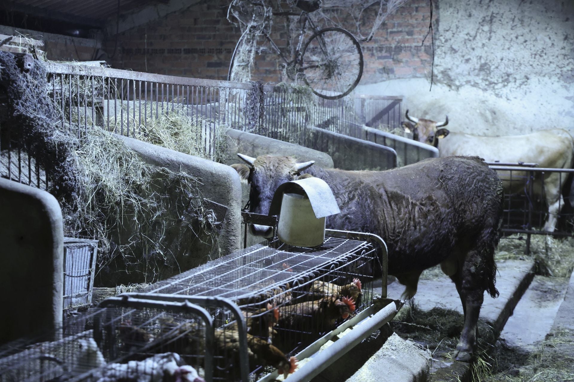 Vecinos desalojados y olor a quemado en todo Gijón: las imágenes del fuego en el Monte Areo