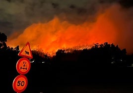 Bomberos de Gijón y de Asturias trabajan de forma exhaustiva para intentar acotar las llamas.