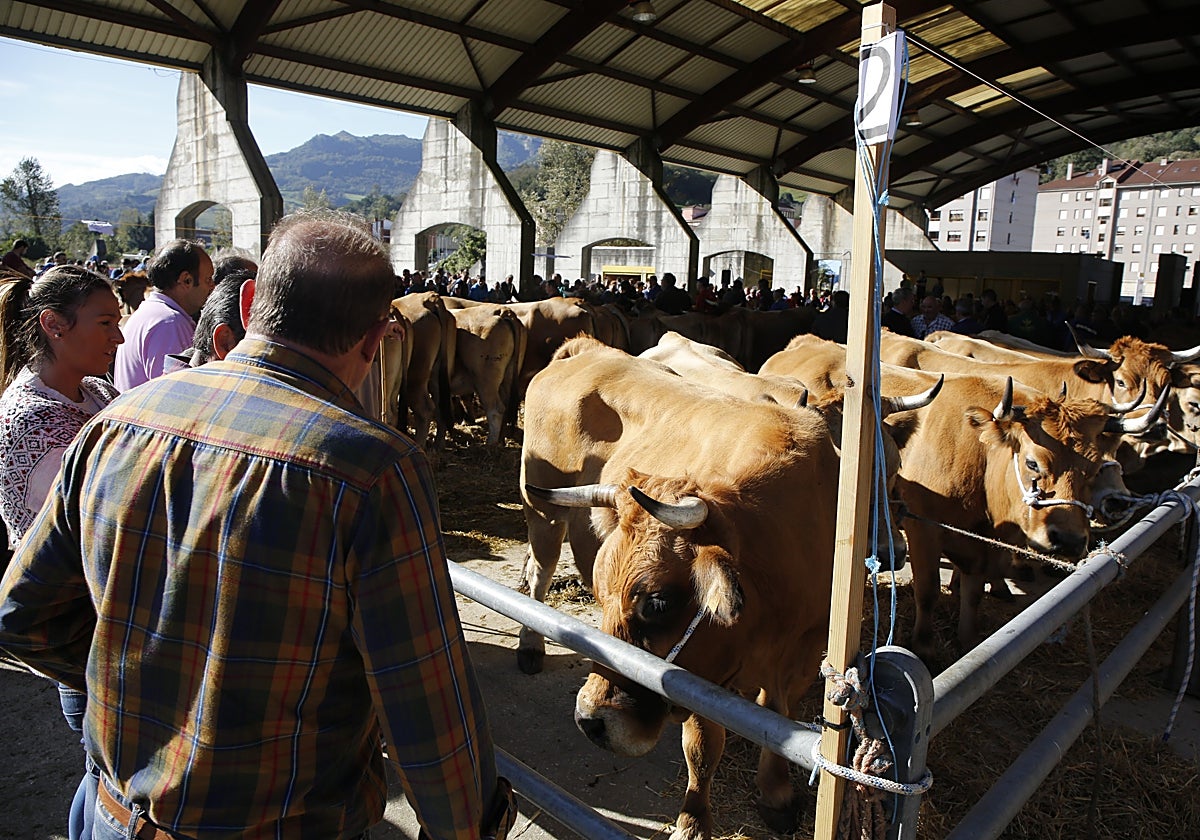 Mercado de ganado de La Pola.
