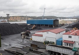 Los muelles de Raíces.