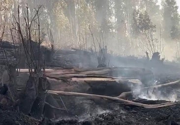 Los vecinos de Monteana tras el incendio: «El número de cuerpos de seguridad fue increíble»