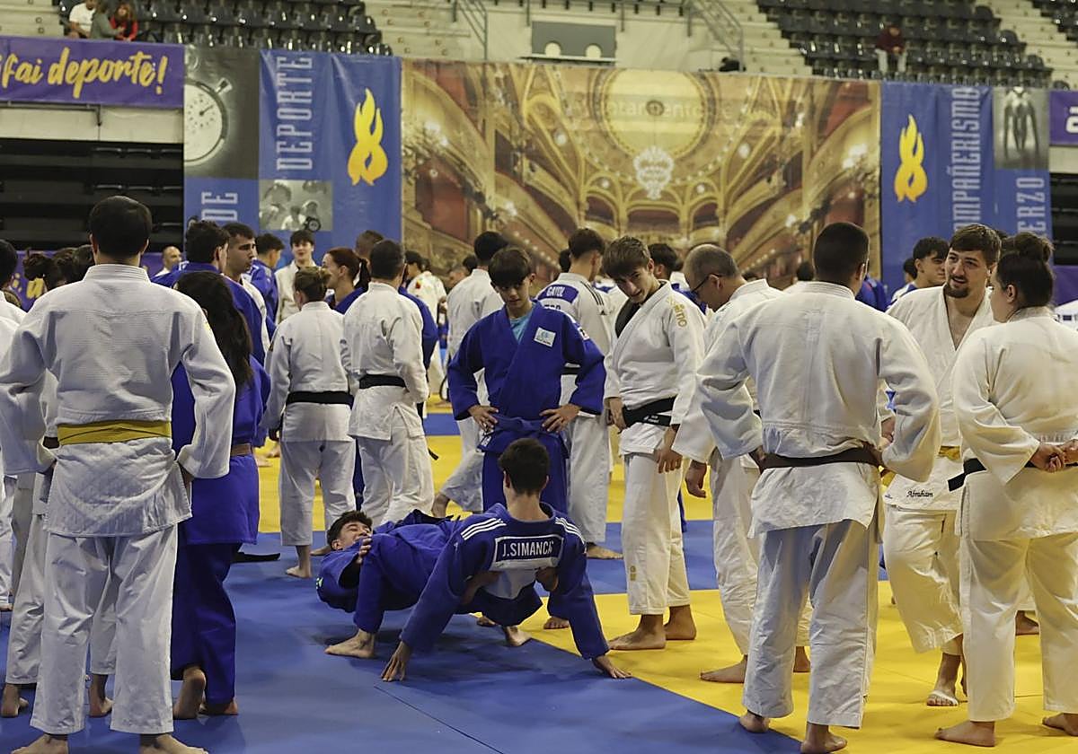 300 judocas participaron en el entrenamiento organizado por la Federación Asturiana previo al Villa de Avilés.