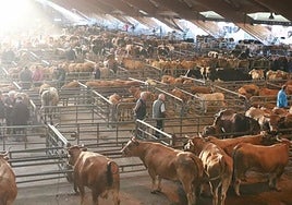 Mercado Nacional de Ganado de Pola de Siero.