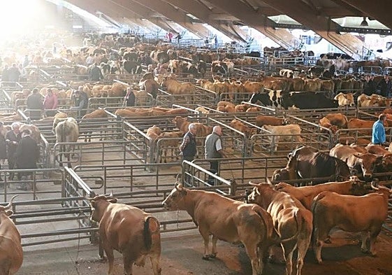 Mercado Nacional de Ganado de Pola de Siero.