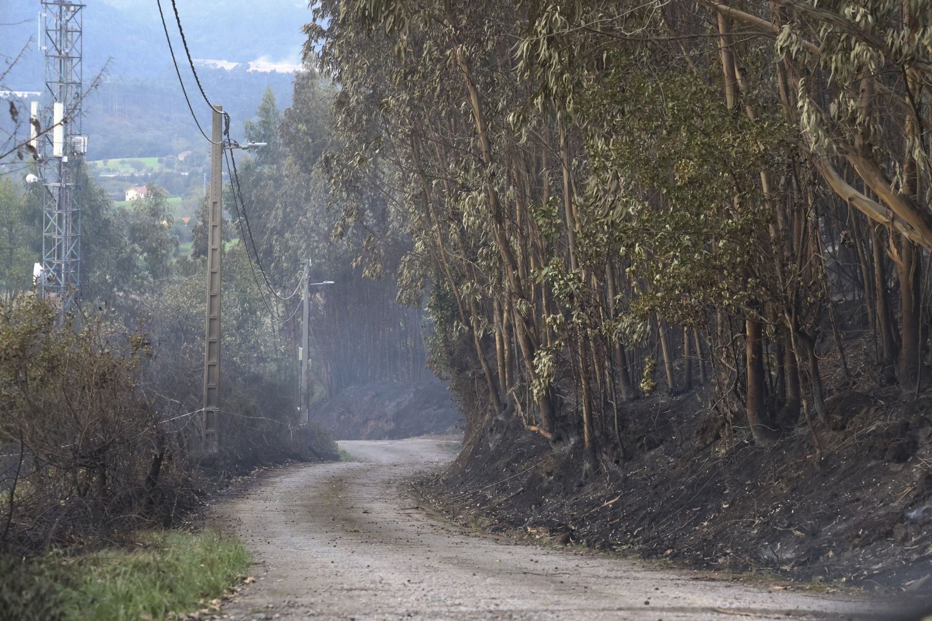Así amaneció el Monte Areo, en Gijón: las desoladoras imágenes que deja el incendio
