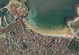 La escalera 15, cerca de la desembocadura del río Piles, y el parque de Isabel la Católica eran lugares habituales de enterramiento de animales.