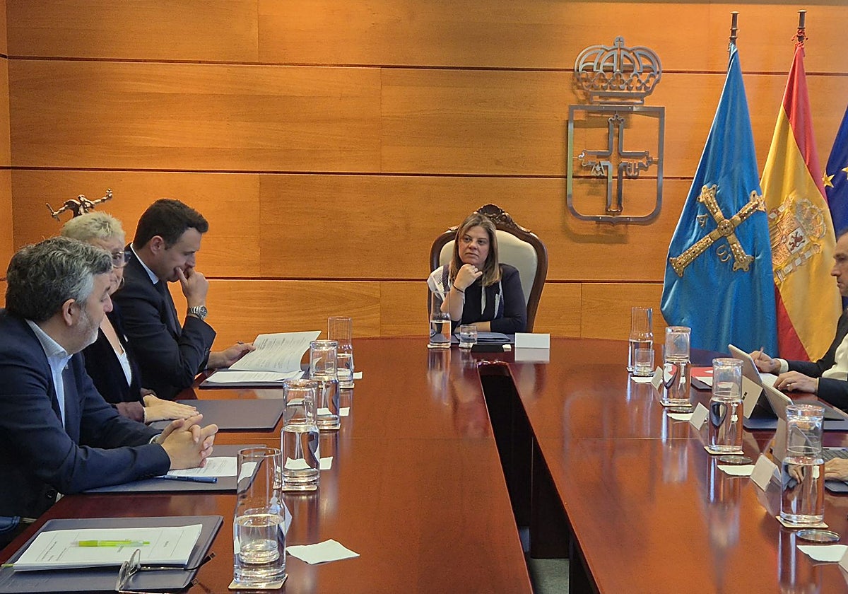 La reunión del Consejo de Gobierno estuvo hoy presidida por la vicepresidenta Gimena Llamedo.