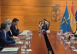 La reunión del Consejo de Gobierno estuvo hoy presidida por la vicepresidenta Gimena Llamedo.