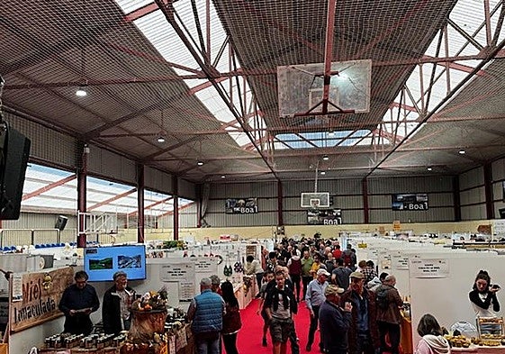 Declarada de Interés Turístico del Principado de Asturias, la Feria de la Miel de Boal reafirma al concejo como referente apícola.