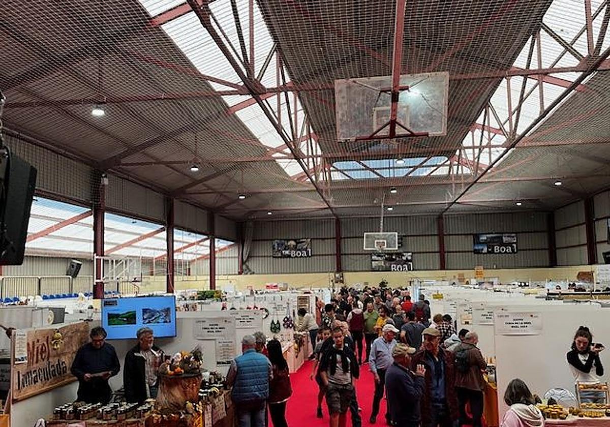 Declarada de Interés Turístico del Principado de Asturias, la Feria de la Miel de Boal reafirma al concejo como referente apícola.