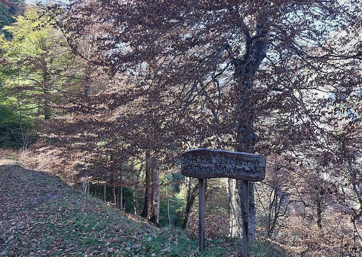 Imagen secundaria 1 - A Brañagallones y al Cantu´l Osu: una ruta llena de paisaje y simbolismo