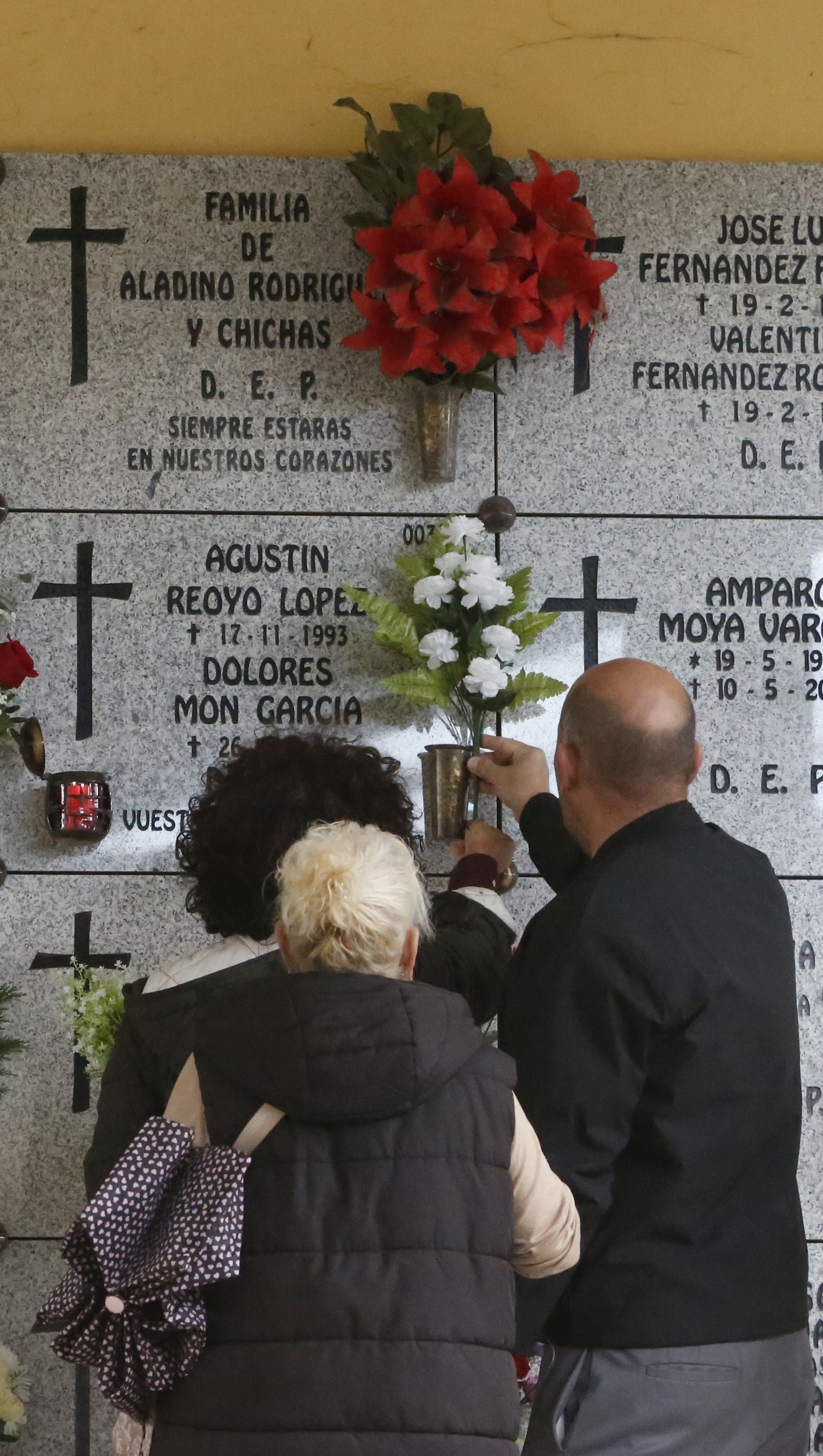 Cementerio de Deva (Gijón) 