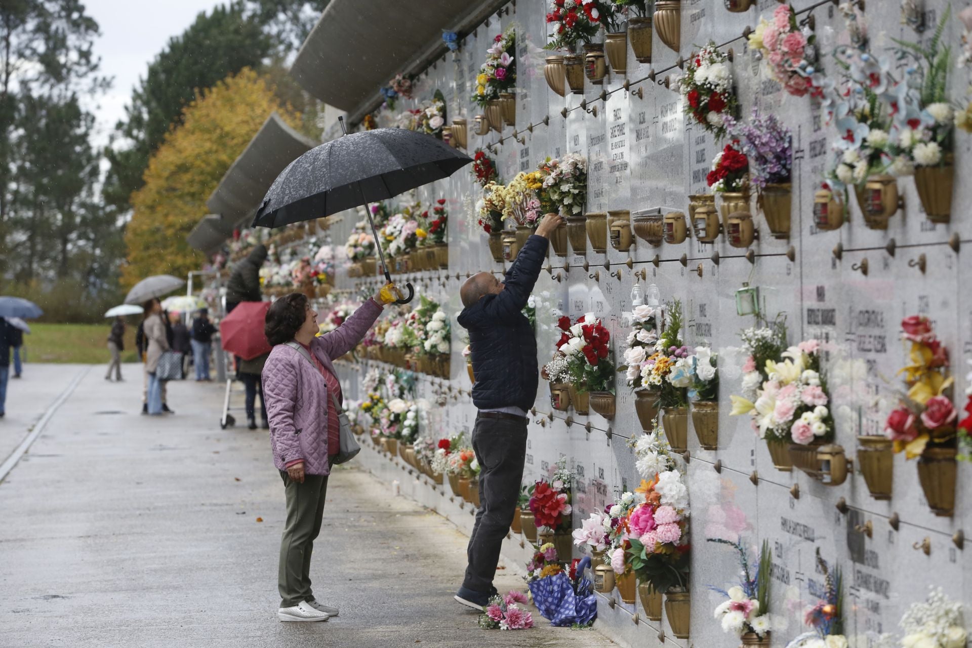 Cementerio de Deva (Gijón) 