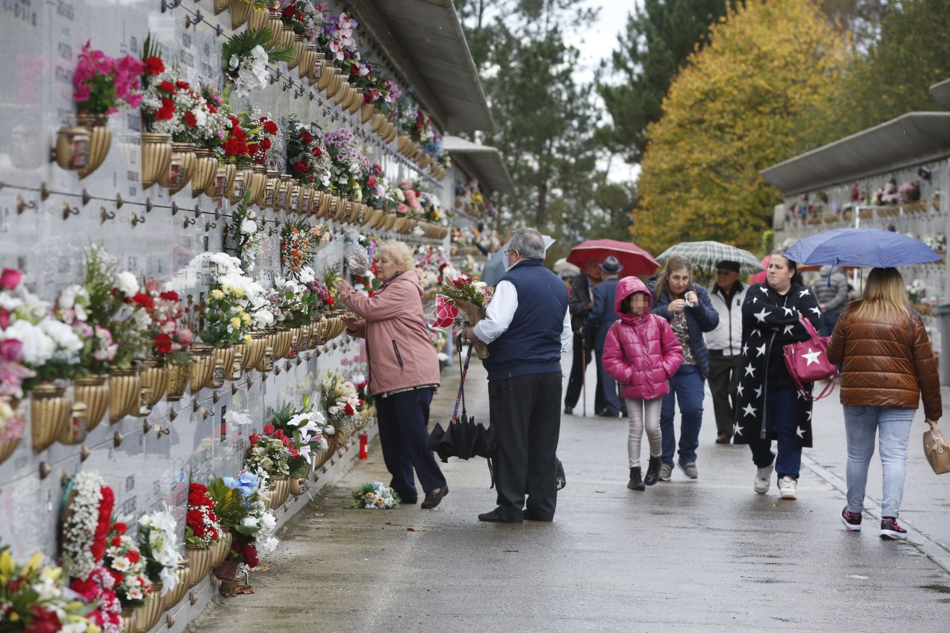 Cementerio de Deva (Gijón) 