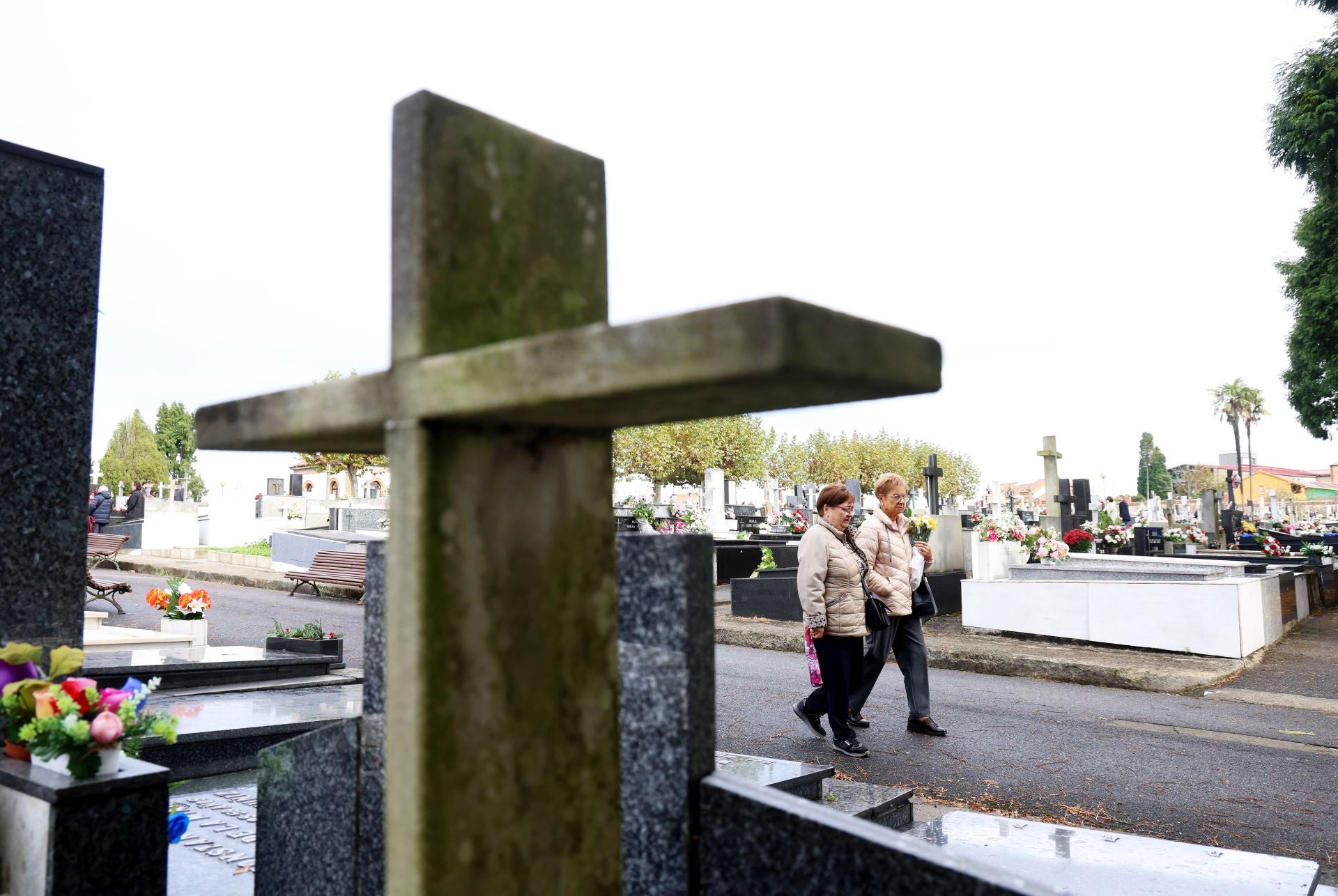 Cementerio de San Salvador (Oviedo) 
