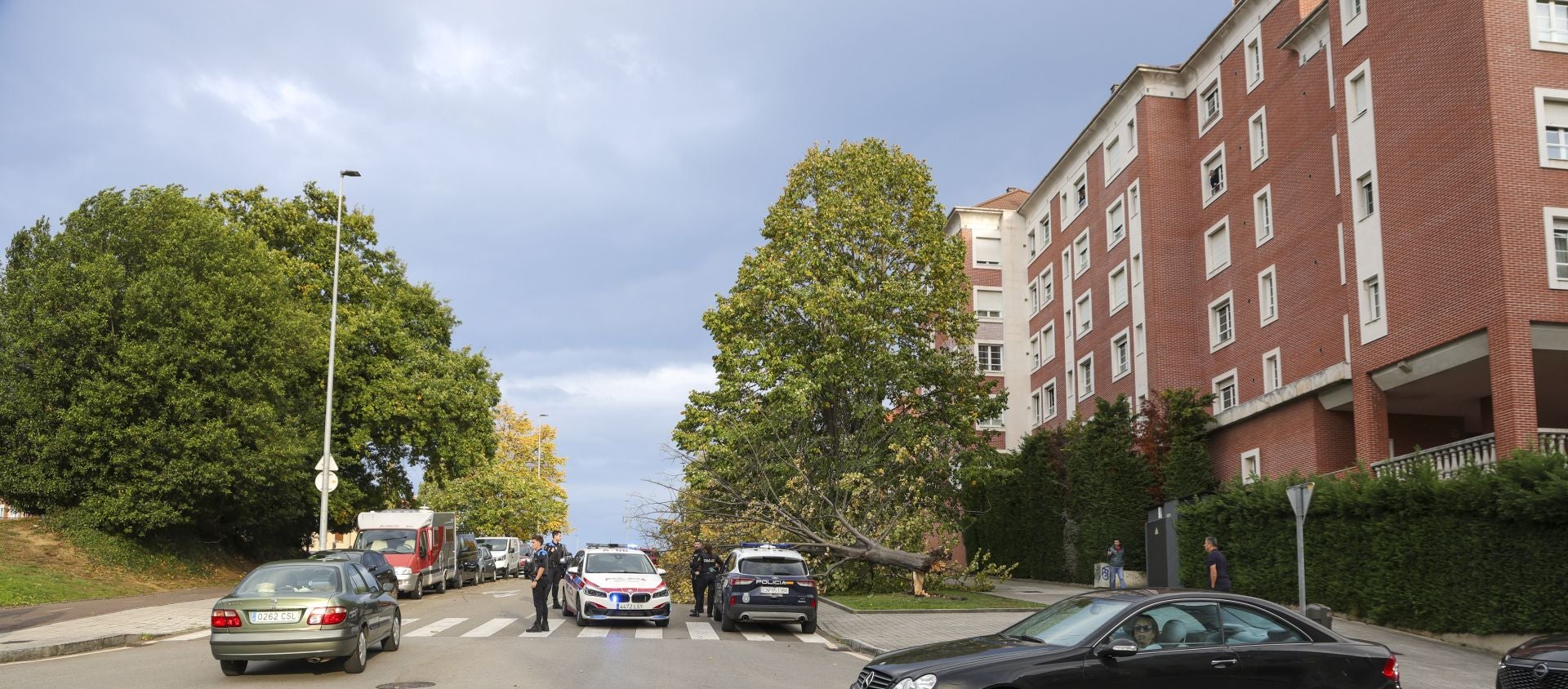 Los estragos del viento en Gijón, en imágenes