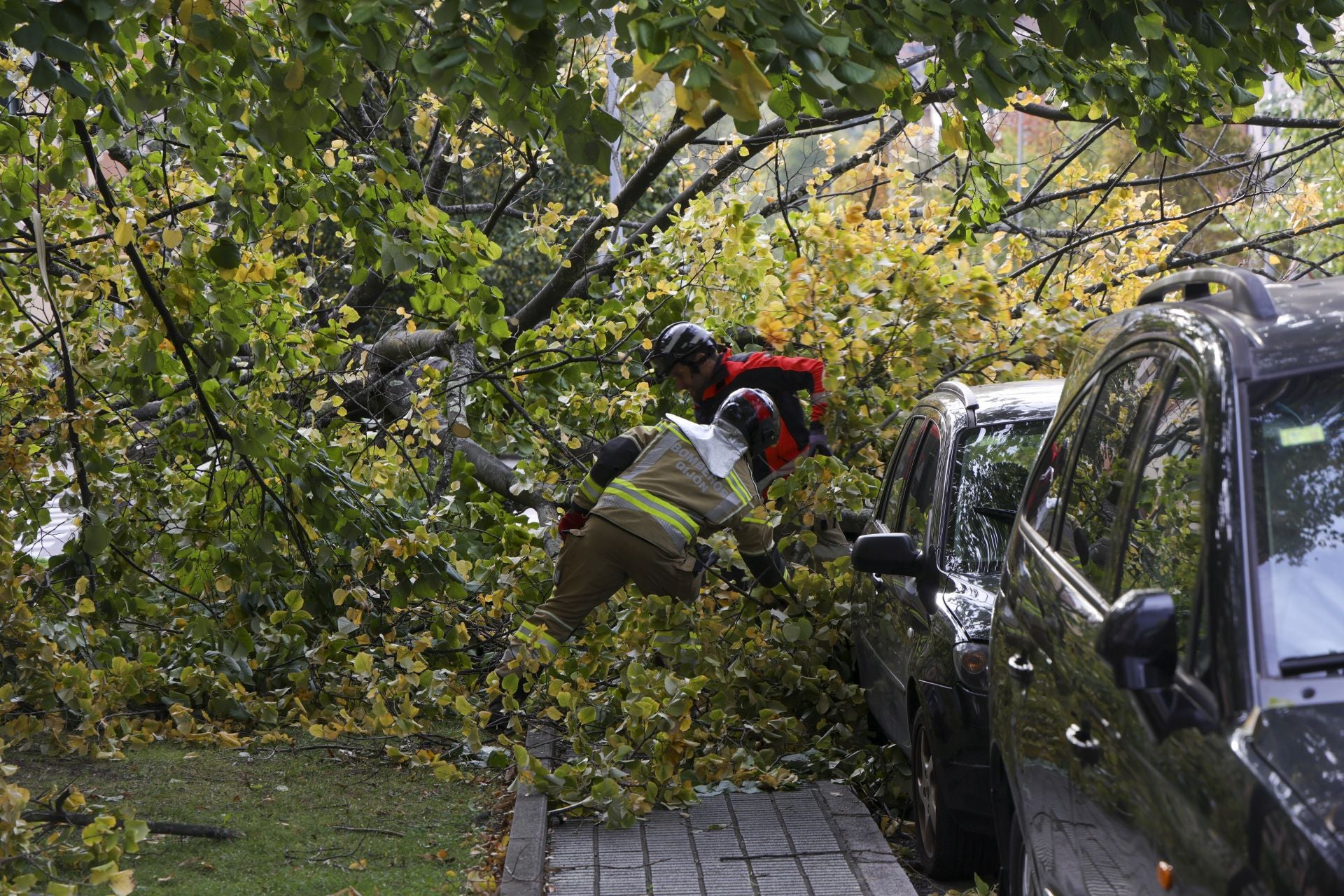 Los estragos del viento en Gijón, en imágenes