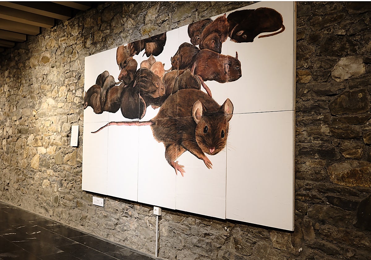 Imagen principal - Los jóvenes, los primeros en unirse a la lucha por la inclusión en el festival Fiasco