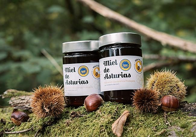 Miel de Asturias