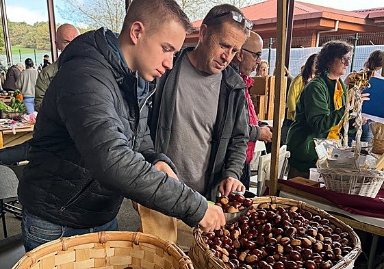 Certamen de Las Regueras.