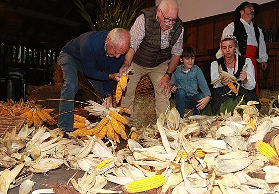 Un grupo de personas de todas las edades esfoyan las panoyas en el Pueblu d'Asturies