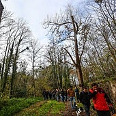 Una visita guiada a la antigua fábrica de explosivos de La Manjoya.