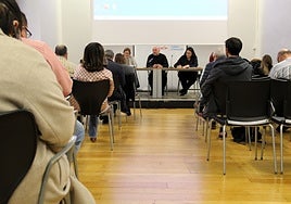 Reunión del Consejo Sectorial de Personas con Discapacidad celebrado este lunes en Gijón.