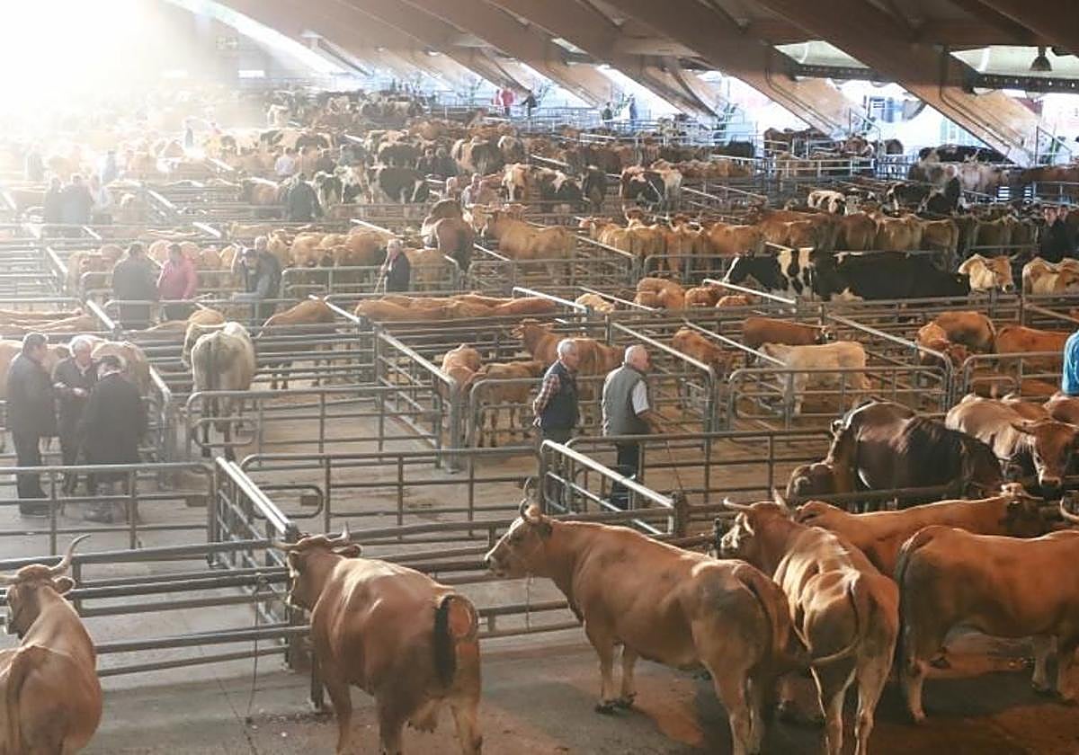 Imagen de archivo del Mercado de Ganados de Pola de Siero.