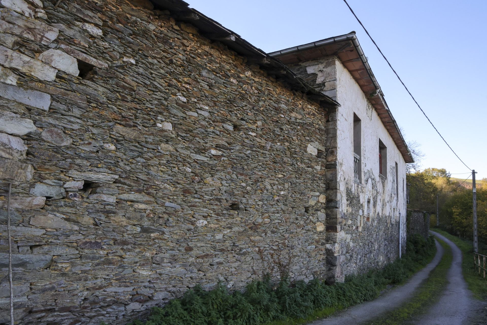 Tomasín, en paradero desconocido: las imágenes de la búsqueda en Tineo