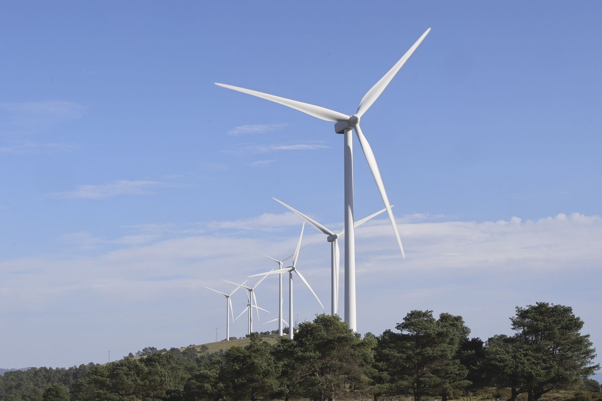 Tomasín, en paradero desconocido: las imágenes de la búsqueda en Tineo