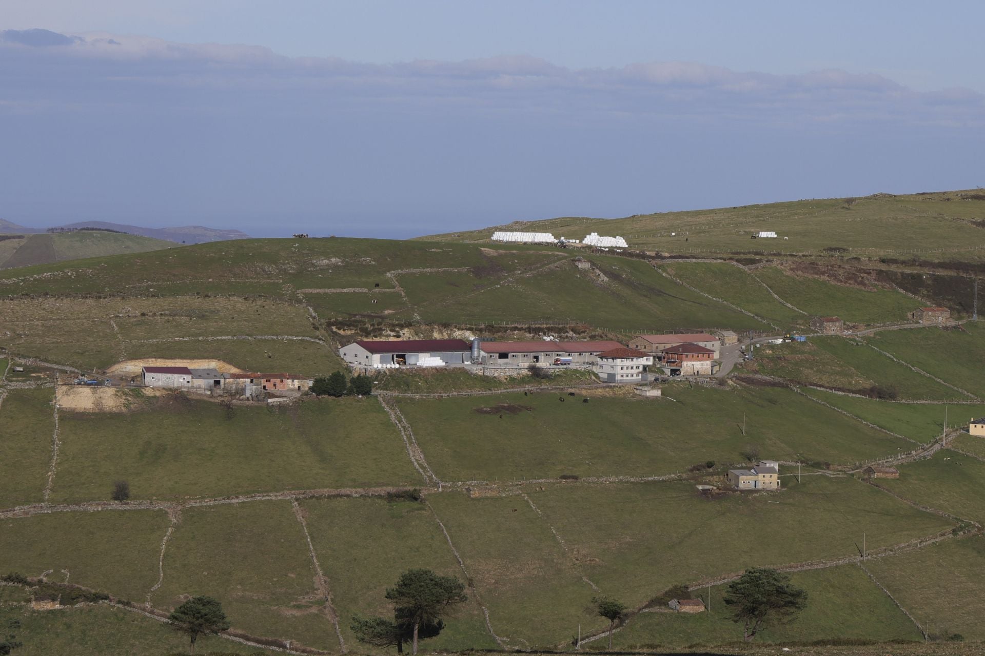 Tomasín, en paradero desconocido: las imágenes de la búsqueda en Tineo