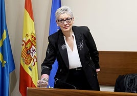 La consejera de Salud del Principado, Concepción Saavedra, esta mañana, durante su comparecencia en la Junta General del Principado.