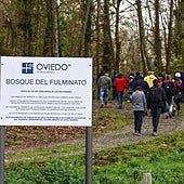 Una visita guiada al bosque del Fulminato.