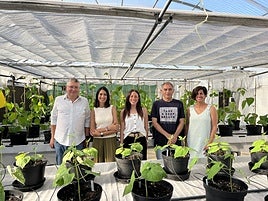 Los investigadores Juan José Ferreira, Ana Campa, María Jurado, Roberto Rodríguez y Carmen García.