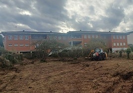 Labores de limpieza en una de las parcelas.