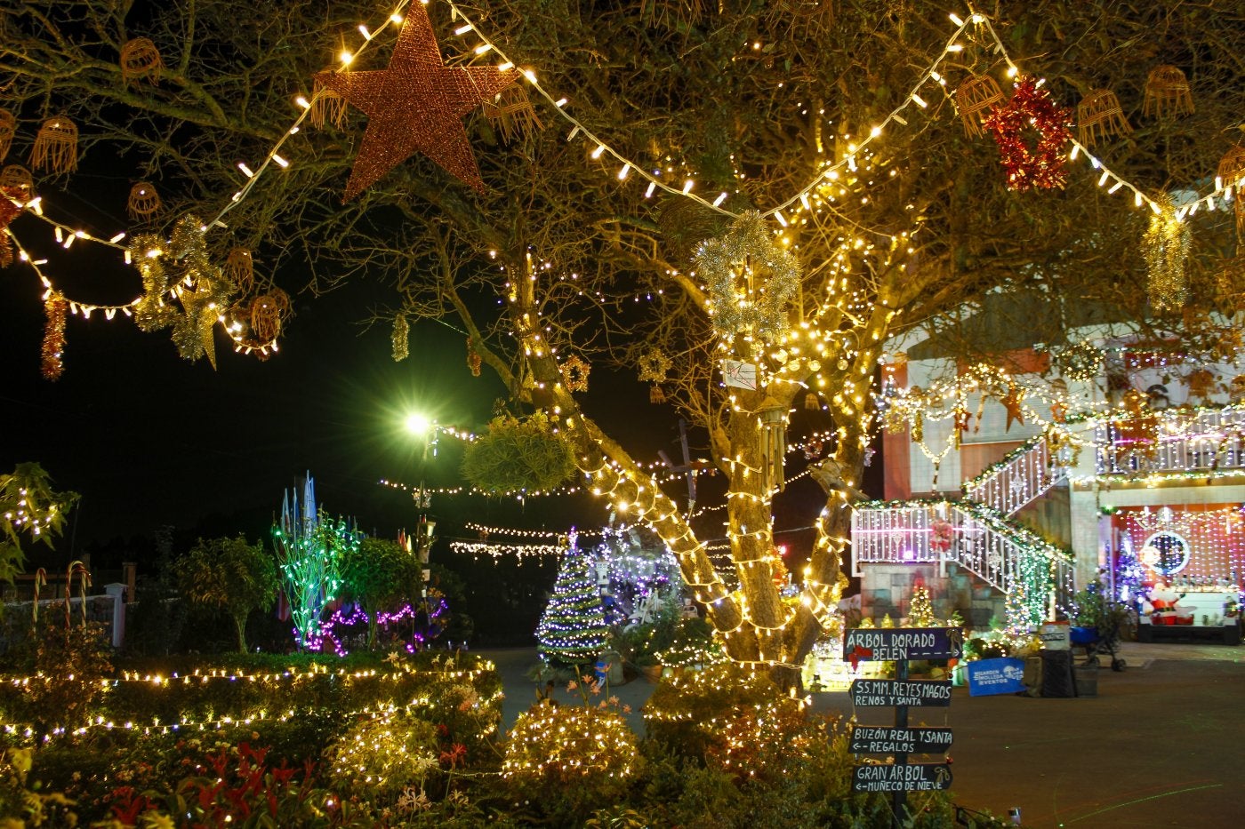 La Navidad llega antes al Jardín de Molleda