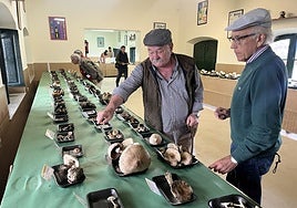 Juan Sánchez (derecha) informa de los tipos de setas.