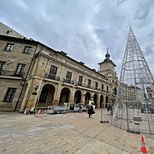 El árbol ya instalado en la plaza de la Constitución.