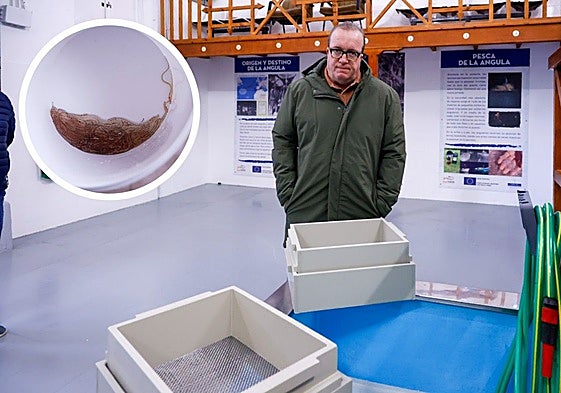 Marino Díaz, patrón mayor de la Cofradía, en la lonja, donde no se pudo llevar a cabo la subasta. En el círculo la escasa captura de un pescador.