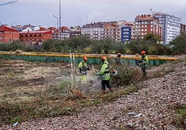 Operarios de Emfesa desbrozando esta tarde en los terrenos del plan de vías sin adecuar, en las inmediaciones del viaducto de Carlos Marx.
