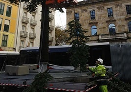 Operarios trabajando en el montaje del árbol de Navidad de la plaza Mayor.