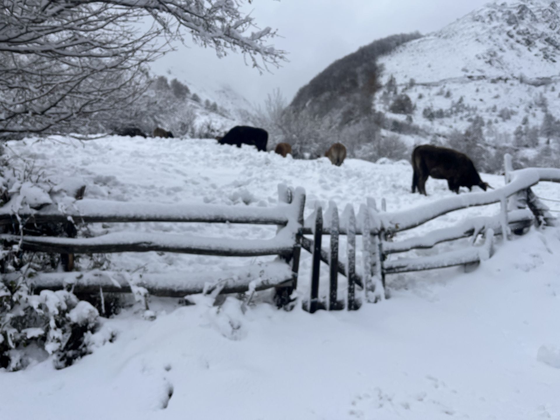 Nieve, granizo y frío en Asturias