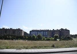 Parcelas sin construir en el barrio de La Grandiella.
