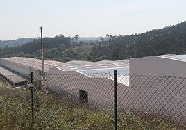 Plantona de Cogersa.