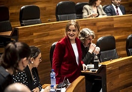 Covadonga Tomé, en un pleno en la Junta General.