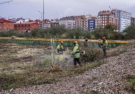 Trabajos de limpieza de los terrenos del plan de vías más próximos a la estación intermodal.